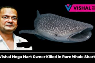 Vishal Mega Mart Owner Killed in Rare Whale Shark Attack While Riding Watercraft
