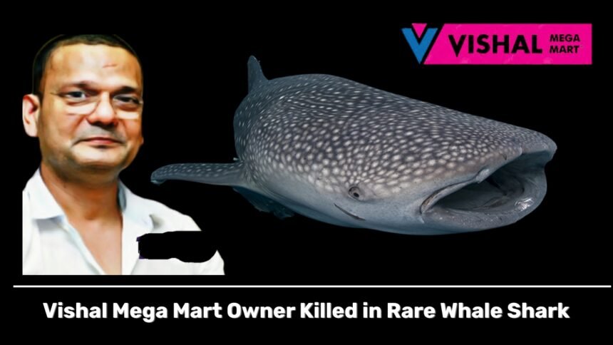 Vishal Mega Mart Owner Killed in Rare Whale Shark Attack While Riding Watercraft