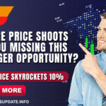 share price